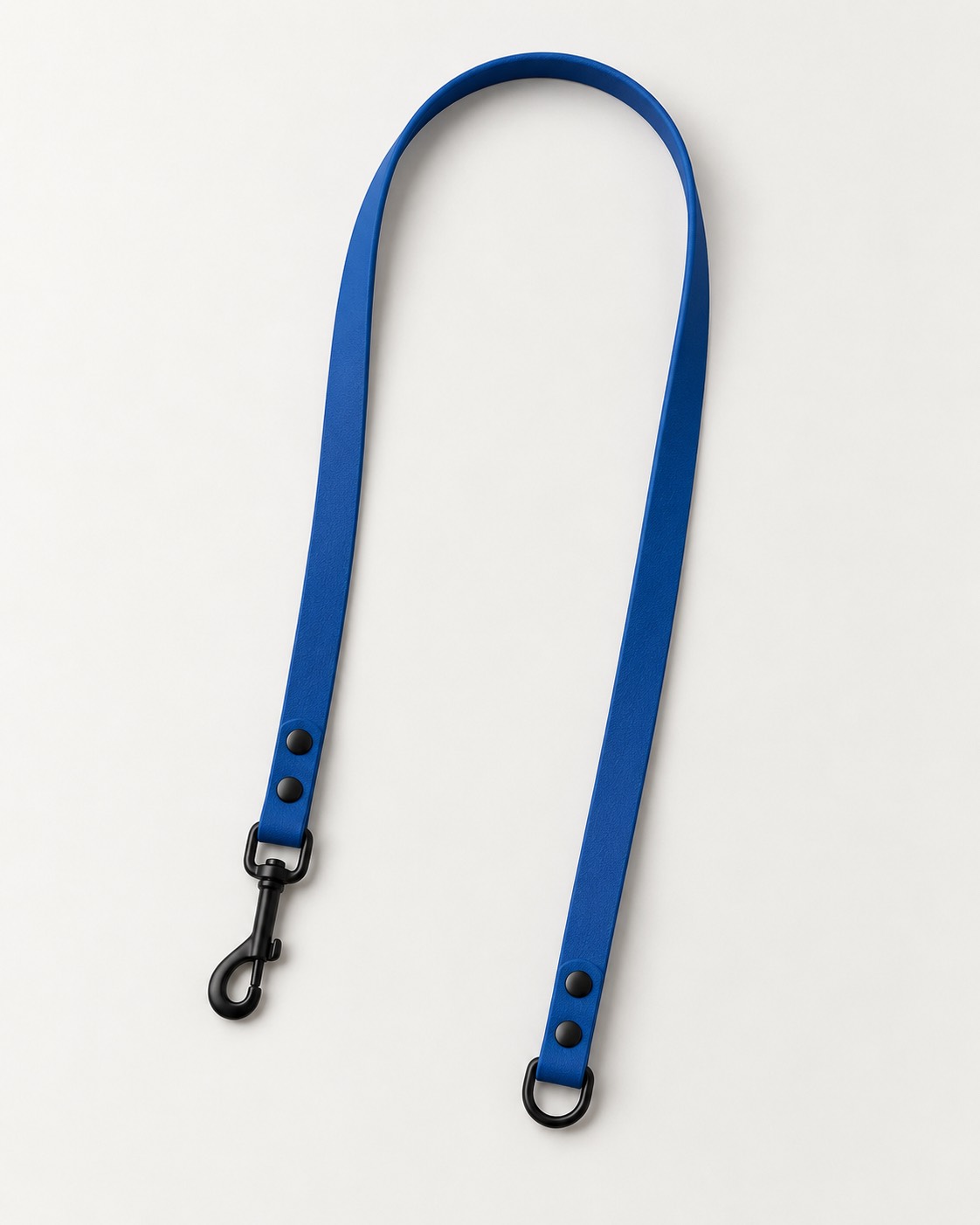 THE LEASH
