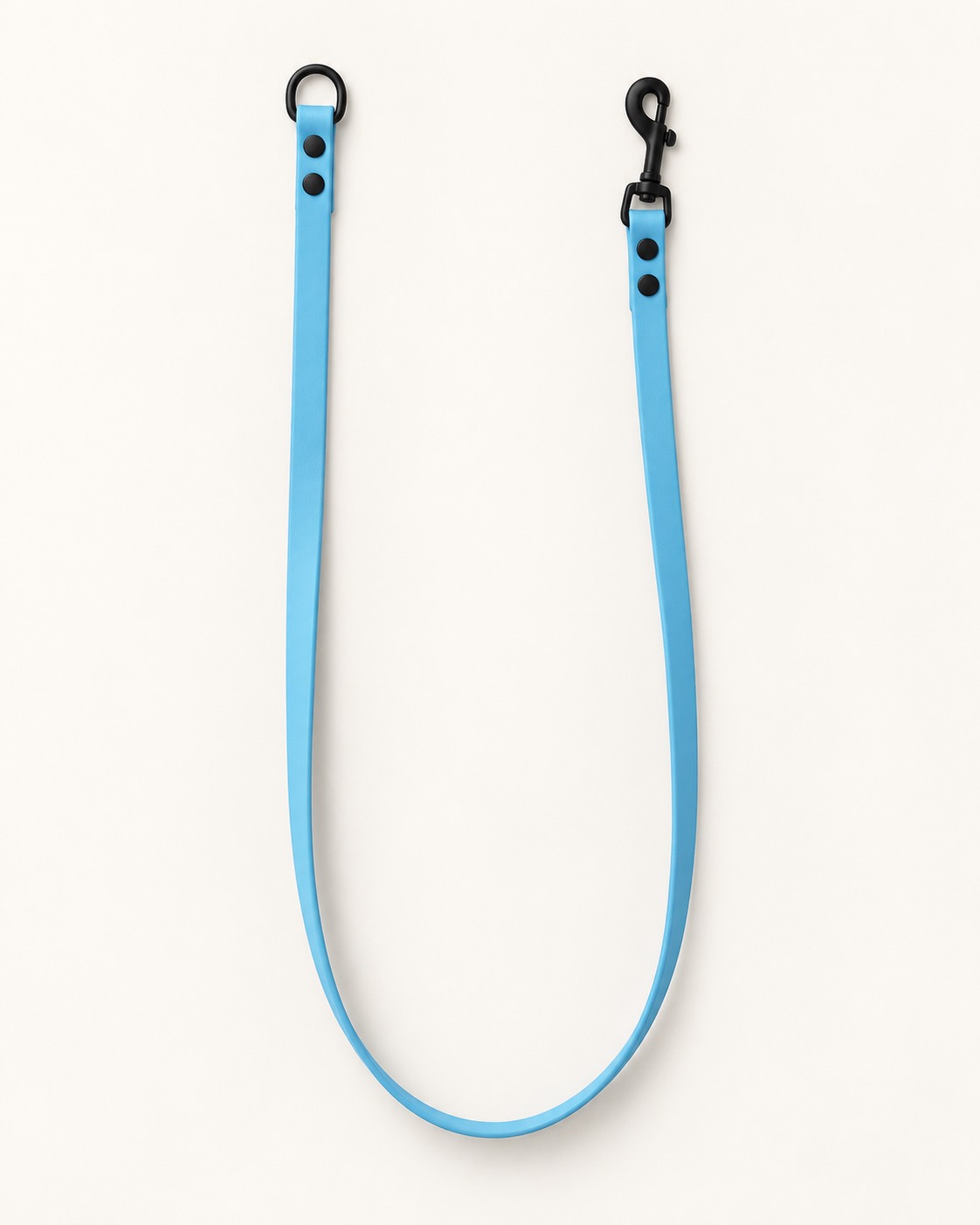 THE LEASH