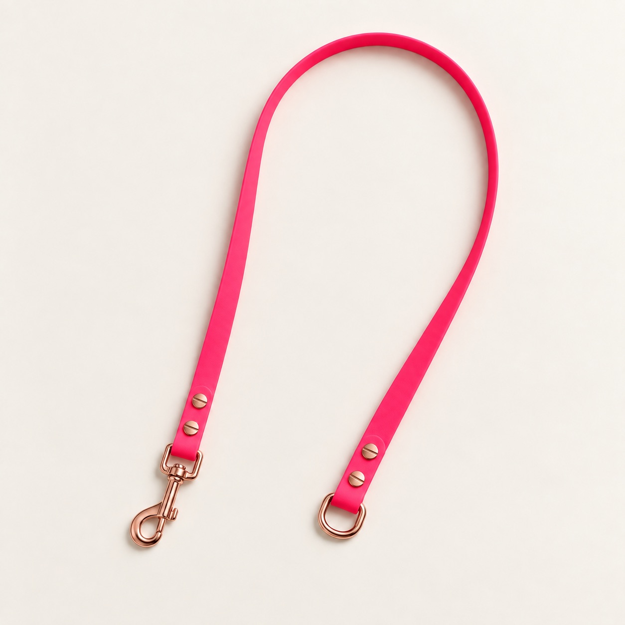 THE LEASH
