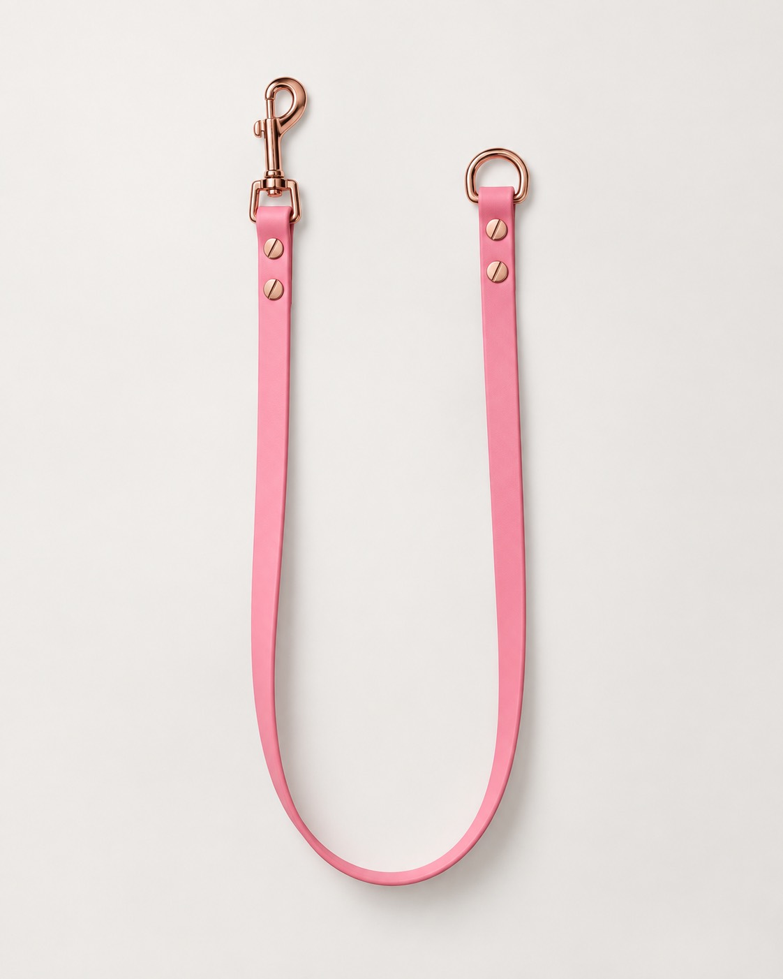 THE LEASH